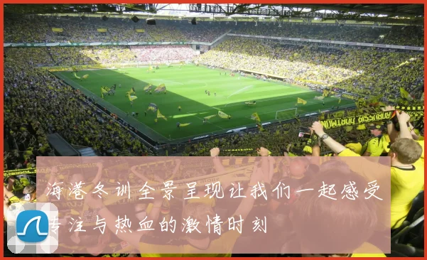 海港冬训全景呈现让我们一起感受专注与热血的激情时刻