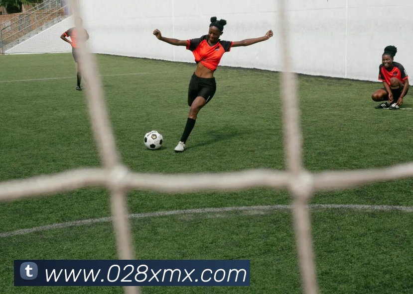 kaiyun体育官网发展历程