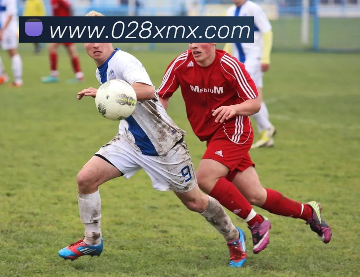 湖人本赛季投篮命中率高居联盟首位三分球表现却垫底令人担忧